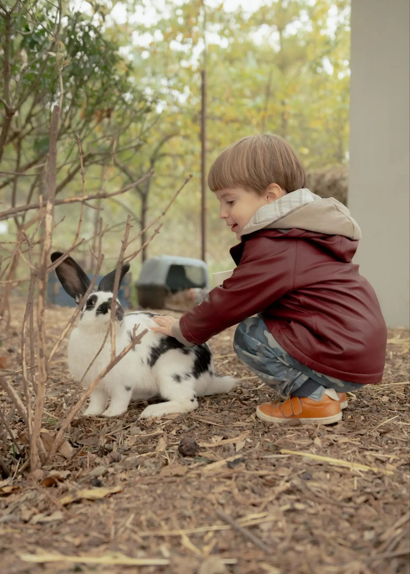 IZI Zöld Ovi / Suli Program